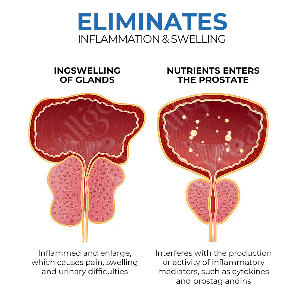 VITABEE™ BEEBOOM ULTRA NASZÁLIS INHALÁTOR A PROSZTATA EGÉSZSÉGÉÉRT