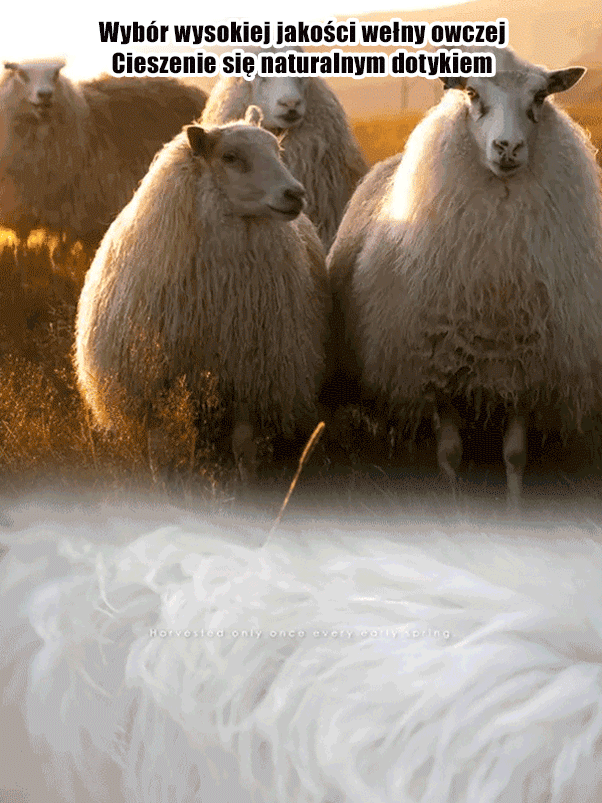 ELEGÁNS RÖVID GYAPJÚ KABÁT