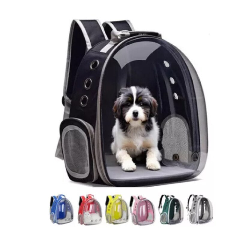 Panorámás kisállat hátizsák - kutya és macska