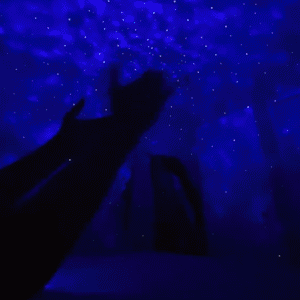 Korai karácsonyi akció 49% KEDVEZMÉNY